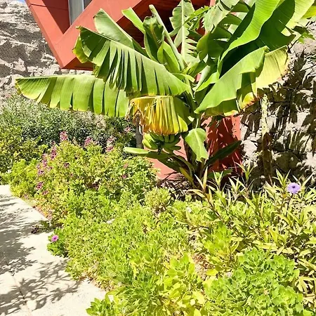 The Canarian Garden By Tenpropertiesgc Las Palmas de Gran Canaria