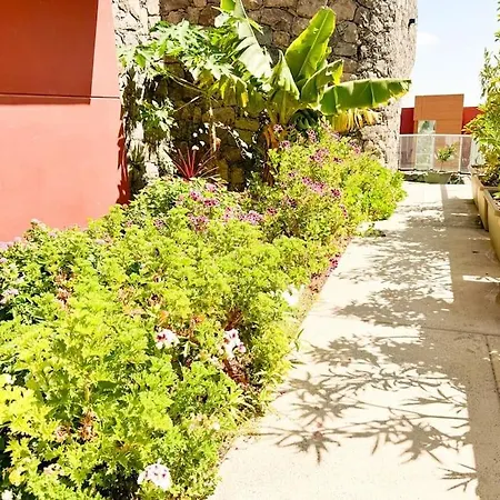 Villa The Canarian Garden By Tenpropertiesgc