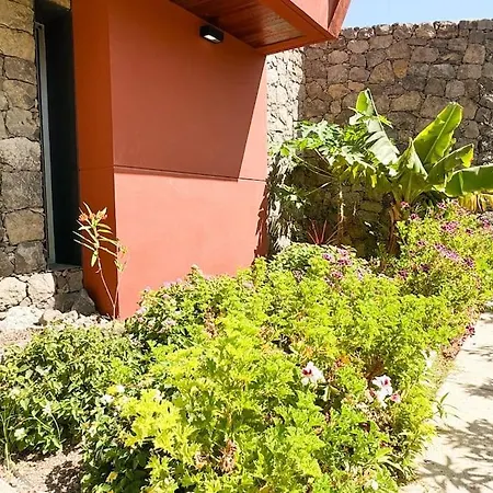 The Canarian Garden By Tenpropertiesgc Villa Las Palmas de Gran Canaria