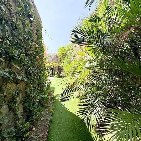 The Canarian Garden By Tenpropertiesgc Villa *